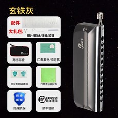 飛繁FEIFAN半音階口琴12孔C調專業演奏Le-u48初學者入門, 1個, Le-u48玄鐵灰12孔C調