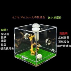 투명 파충류 사육장 거미 사마귀 아크릴 애완 곤충 번식 생태 상자 관찰, 6.8cm 조경 상자 (양 장식)