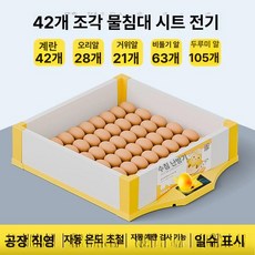 병아리 부화기 메추리 자동 사육장 키우기 싱글 유정란 육추기, 1개, 42알 조합 수조 단일 전원 알 투과기