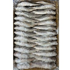 힘찬푸드 조기 60마리 긴가이석태 수조기 업소용, 1박스, 10kg