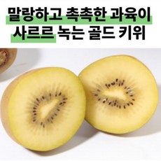 명절 설날 과일 국내산 골드키위 2kg 대 대량 단체 주문