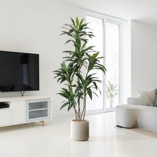 室內大型仿真植栽 巴西木 1.5公尺, 南美熱帶雨林巴西木1.5公尺室內大型仿真植栽（贈送花盆）, 1個