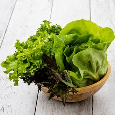유기농 유러피안 샐러드 야채 쌈채소 미니 로메인 버터해드 유럽 상추, 샐러드채소 1KG, 1개