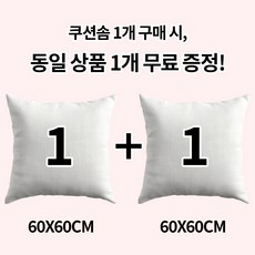 [1+1] 순잠 소파 쿠션 지퍼형 구름 쿠션솜 화이트 35*35 l 40*40 l 45*45 l 50*50 l 55*55 l 60*60, 2개