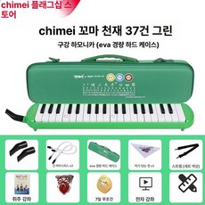 건반 멜로디온 연습용 공연용 음악 수업 악기, 1개, 소형 텐던 그린 EVA 경량