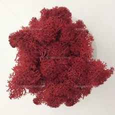 인공 녹색 식물 영원한 생명 DIY 잔디 홈 룸 미니 가짜 50g, 13)10g, Dark red