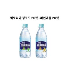 빅토리아 청포도 20펫+파인애플 20펫 탄산음료 500ml2박스총40펫, 40개, 500ml