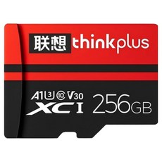 레노버 씽크플러스 마이크로 SD 카드 TF102, 1개, 256GB