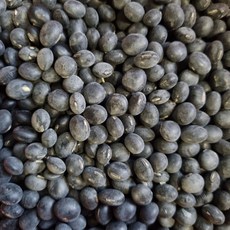 전남 곡성 산지직송 25년산 국산 햇 토종 서리태(속청) 국내산, 1kg, 1박스