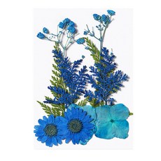 被說愛 火漆DIY乾燥花材料包 乾燥花 乾花 勞作 亮粉 火漆封印 火漆蠟 火漆花 永生花 手帳 DIY素材 乾燥花素材, 7.藍色
