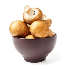 친환경 갈색 양송이버섯 500g /dn, 1개