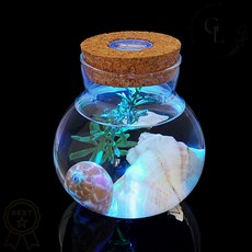 마리모 키우기 LED 코르크 유리병 반려식물 수경 재배 세트 어항 1개입