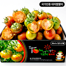 농협특품 대저짭짤이토마토 당도선별 로얄과, 1개, 1kg