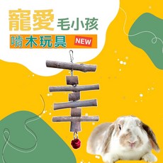 寵愛 毛小孩啃木磨牙串 芭樂樹枝 適用天竺鼠兔子鳥龍貓, 1個