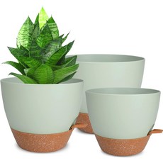 배수구가 있는 실내 식물을 위한 화분 76.5655인치 자가 급수 다육식물용 플라스틱 아프리카 바이올렛녹색, Green-3pack, 10/9/8 inch, 1개