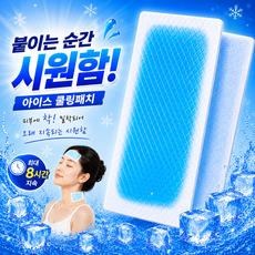 드로시아 붙이는 쿨링 패치 냉각 시트 아이스 쿨패치, 22개