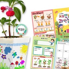 봉선화 화분 꾸미기 봉선화키우기키트