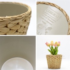 여유로미 이케아 부레옥잠 화분 FRIDFULL 프리드풀 관엽식물 화분선반 행잉식물