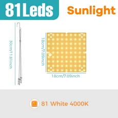 100W 풀 스펙트럼 식물 호환용 램프 LED 퀀텀 보드 성장등 온실 텐트 실내 화분 채소 꽃 재배 조명, 01 US plug, 05 50W Sunlight, 01 LED 칩