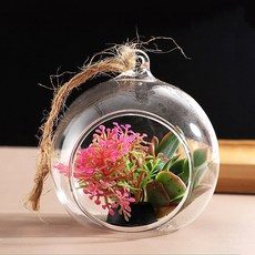 글로우 테라리움투명볼 5쌍 인기원예용품, 10cm