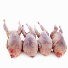 (배터짐) 해썹 후레쉬 메추리고기 메추리10마리 (일요일&당일발송), 750g, 1개