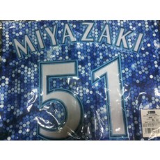 日本職棒 2018 橫濱DeNA海灣之星 電繡球員版球衣, 1個