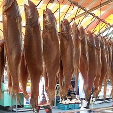 싱싱수산 제수용 뾰족조기5미(28~31cm내외), 단품