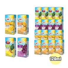 Dole 돌주스 프리미엄 100% 과즙주스 120ml 파인애플4+포도4+망고4+오렌지4/총16팩/무료배송, 1개