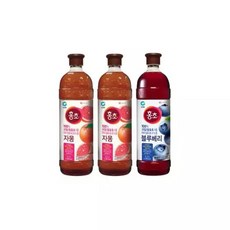 청정원 홍초 자몽 1.5L x 2병 + 블루베리 954391, 2개