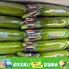 [로아프레시] 당일경매 당일발송 신선한 국내산 못난 애호박, 5개, 못난이 애호박