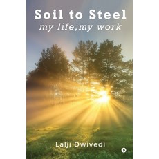 (영문도서)Soil To Steel: my life my work Paperback, Notion Press, English, 9798900078656