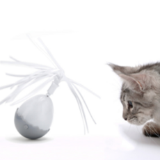 電動不倒翁寵物玩具 電動逗貓不倒翁 智能逗貓棒 寵物玩具 貓咪滾球, 白色，灰色, 1個, qx89662