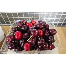 동명 프리미엄 미국산 체리 특대과 아이스박스 팩 포장, 300g, 1박스