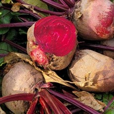 해남 친환경 유기농 레드비트 2kg, 1박스