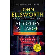 (英文圖書)Attorney at Large: A Page-Turning Legal Thriller with Twists You Won't See Coming. 平裝版, Vinci Books Ltd, 英文