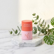 앤투유 노세범 선 파우더 쿠션 SPF50 12g, 1개