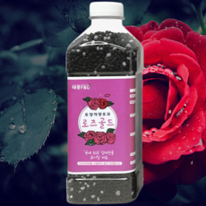 자재스토어 장미전용비료 로즈골드 장미영양제 꽃 화훼류 비료 +전용장갑제공, 1세트, 700g
