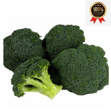 국내산 브로콜리 특품, 1개, 1kg