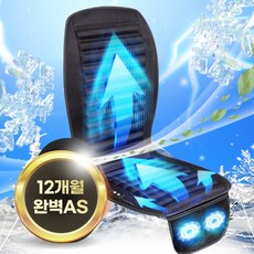 더쎈 신형 더블 빅팬 고출력 차량용 쿨링시트 통풍시트 12V 24V, 블랙 24V, 1세트