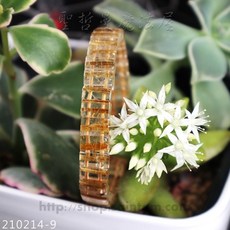 頂級鈦晶手排 210214-9 手鍊, 1個