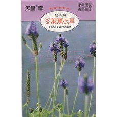 天星牌 羽葉薰衣草 Lace Lavender 種子-野菜部屋 S19, 1包