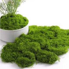 가짜이끼 조경 인테리어 잔디 200g 라이트 식물 실키 인조이끼 그린 모스 화분, 200g 실키 모스 라이트 그린, 1개