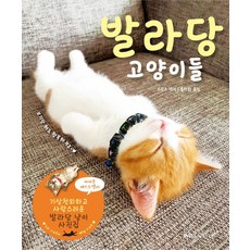 발라당 고양이들:기상천외하고 사랑스러운 발라당 냥이 사진집, 윌스타일(WILLSTYLE), 발라당 고양이들, 스무조(저) / 홍미화(역), 스무조