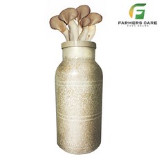 파머스케어 느타리 버섯 종균 집에서 키우는 버섯 가정용 종균 배양, 1개, 500g