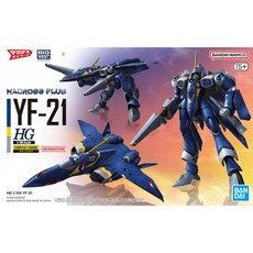 BANDAI 超時空要塞 HG 1/100 YF-21 STURMVOGEL 雨燕 腦波操縱戰機 可變形 鋼普拉, 1個