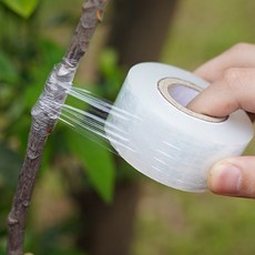 다스몰 접목테이프 과수 식물테이프 3cmx200m, 5개