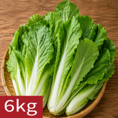 [말똥이네] 당일수확 국내산 얼갈이배추, 1개, 6kg