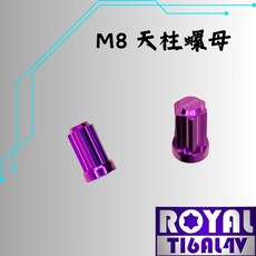 ROYAL鈦合金螺絲 M8天柱螺母 排氣管缸頭 P:1.25 雪花頭 64鈦 正鈦 皇家紫, 1個, M8