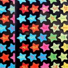 쏨숭 칭찬스티커 별 아동