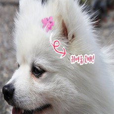 이정몰 아기머리핀 강아지앞머리집게핀, 꽃잎, 1